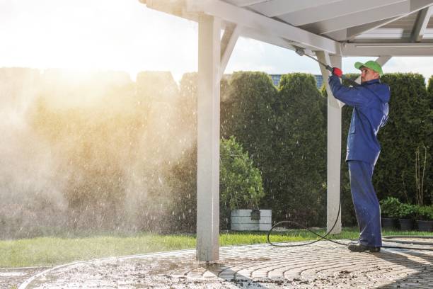Animal Enclosure Cleaning in South Temple, PA
